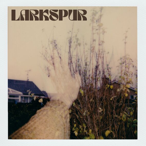 New Music: Starover Blue – Larkspur