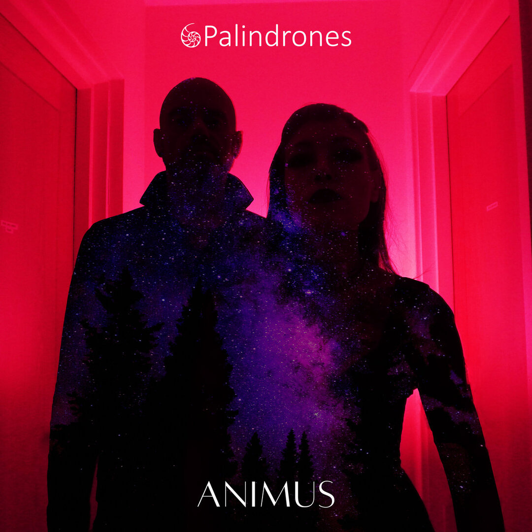New Music: Palindrones - Animus