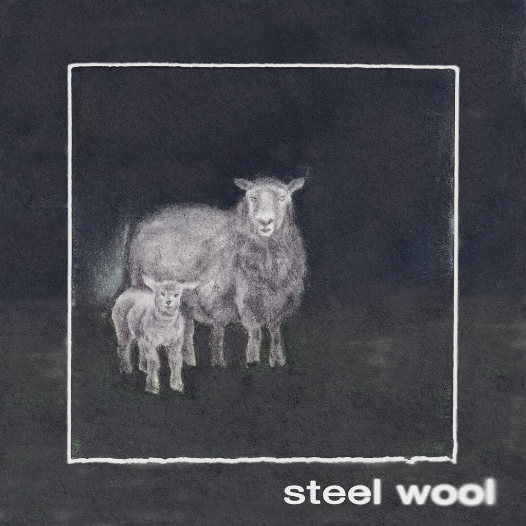 New Music: Steel Wool - Fading