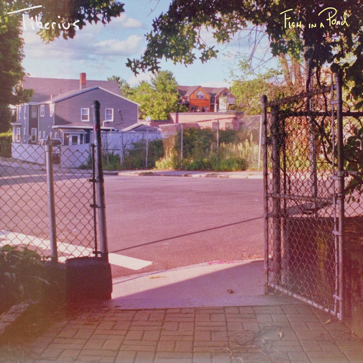 Introducing: Tiberius