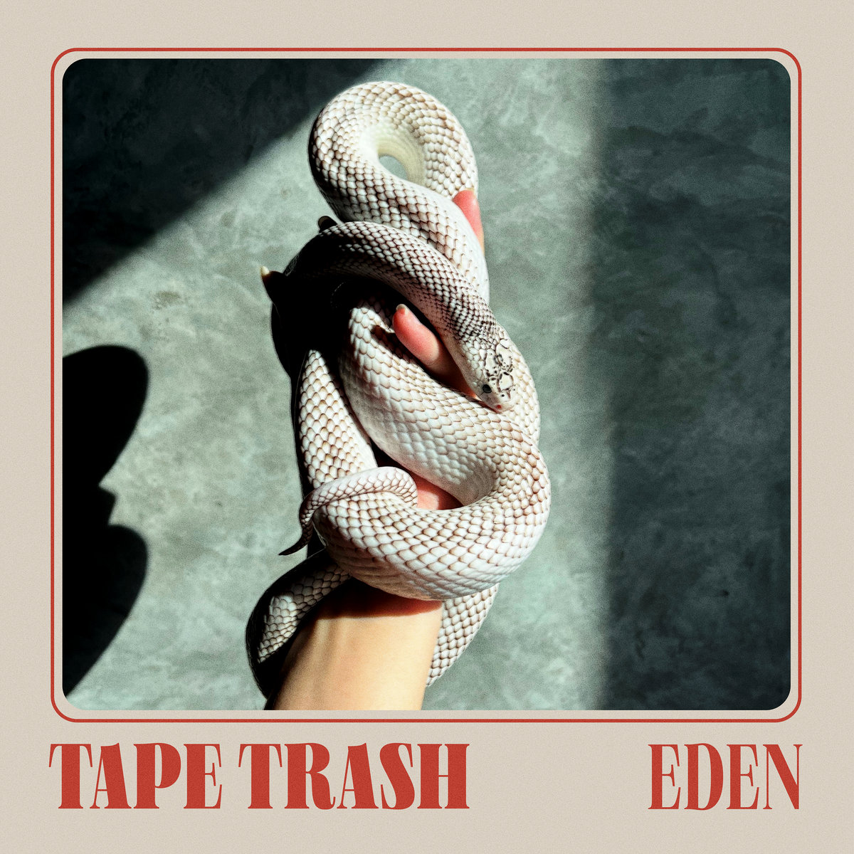 New Music: TAPE TRASH – DAZZLE & DECEIVE