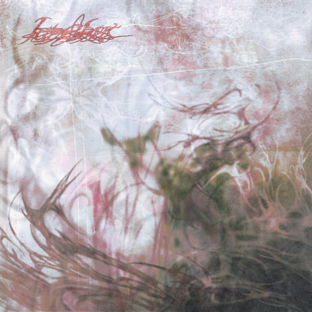 New Music: nazire – junebug