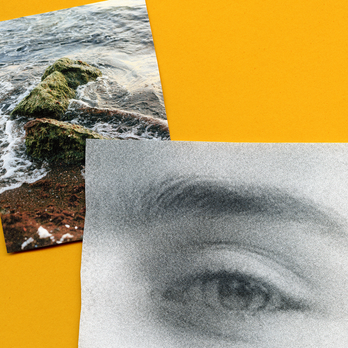Deep Dive: Endearments – Summersun
