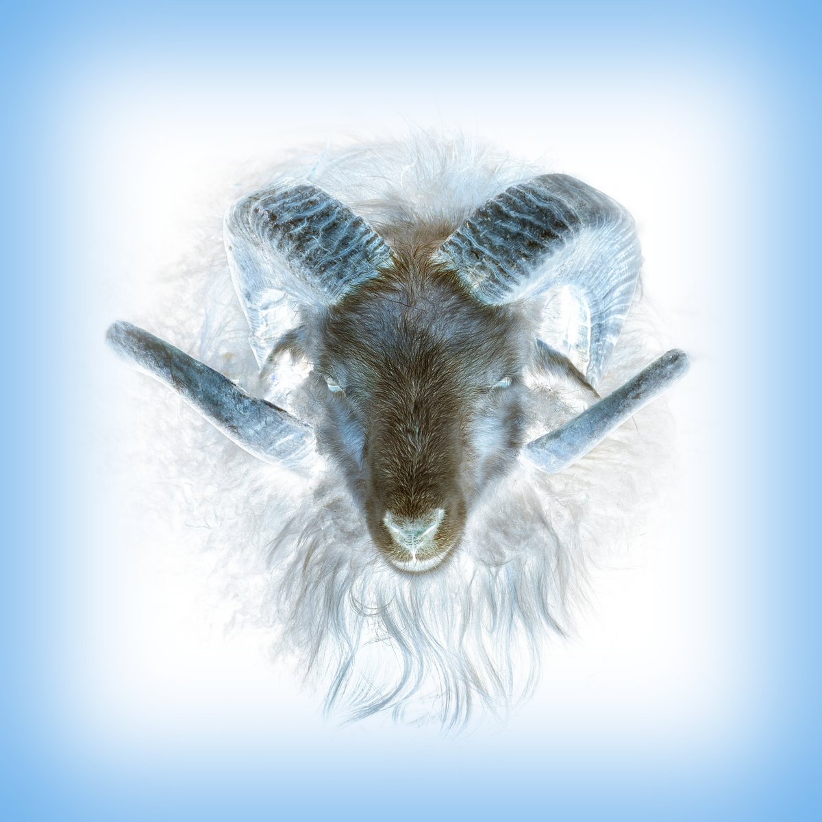 Album Review: Remina – In The Loving Arms Of A Heretic