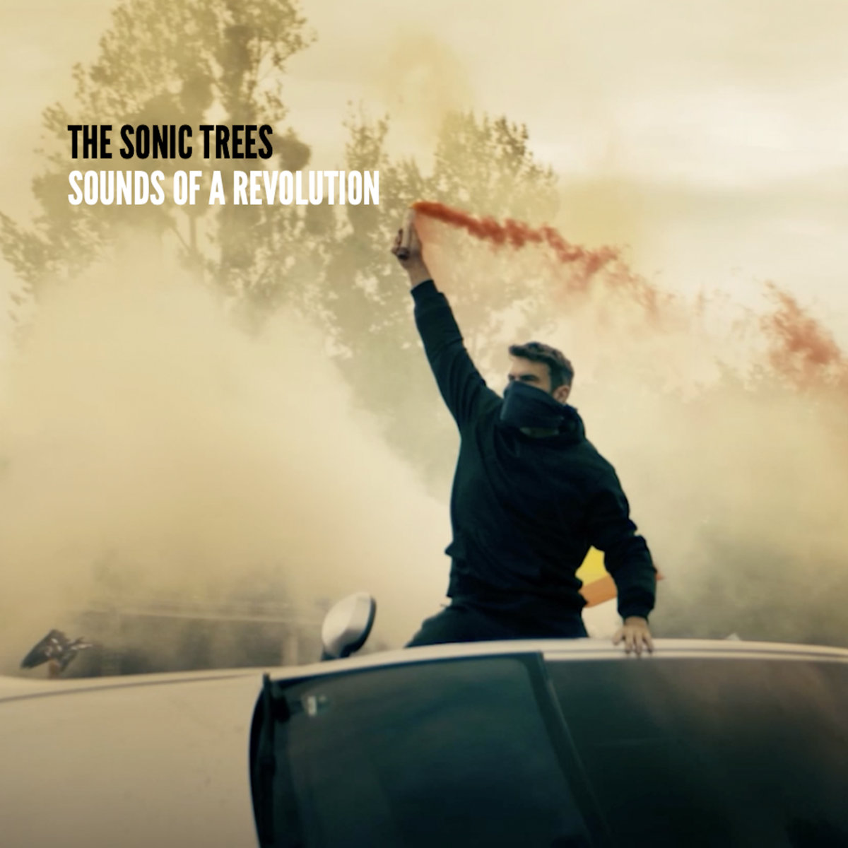 New Music: The Sonic Trees – Silence