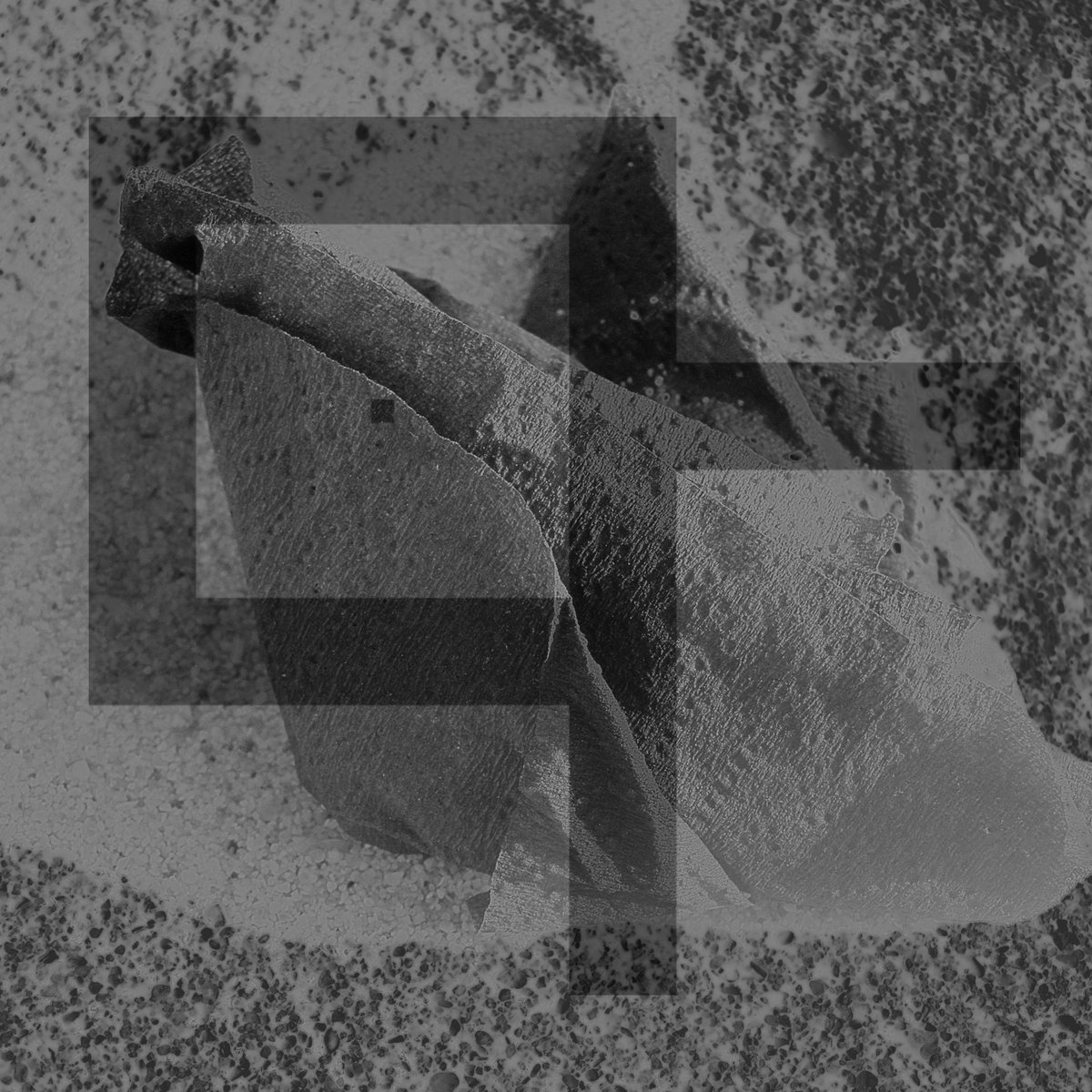 New Music: Decline and Fall – Everywhere is Nowhere