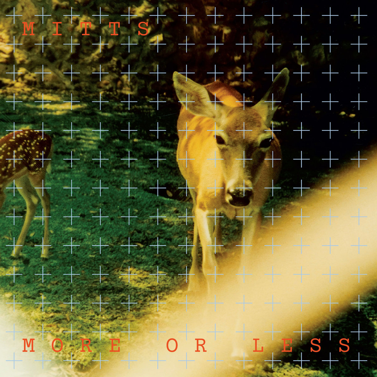 more or less album artwork