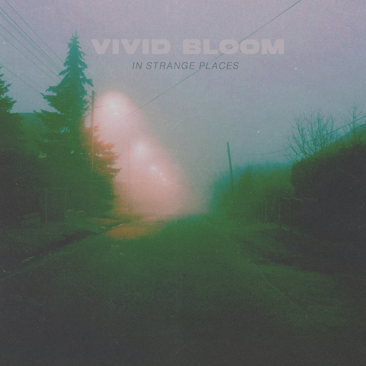 New Music: Vivid Bloom – In Strange Places