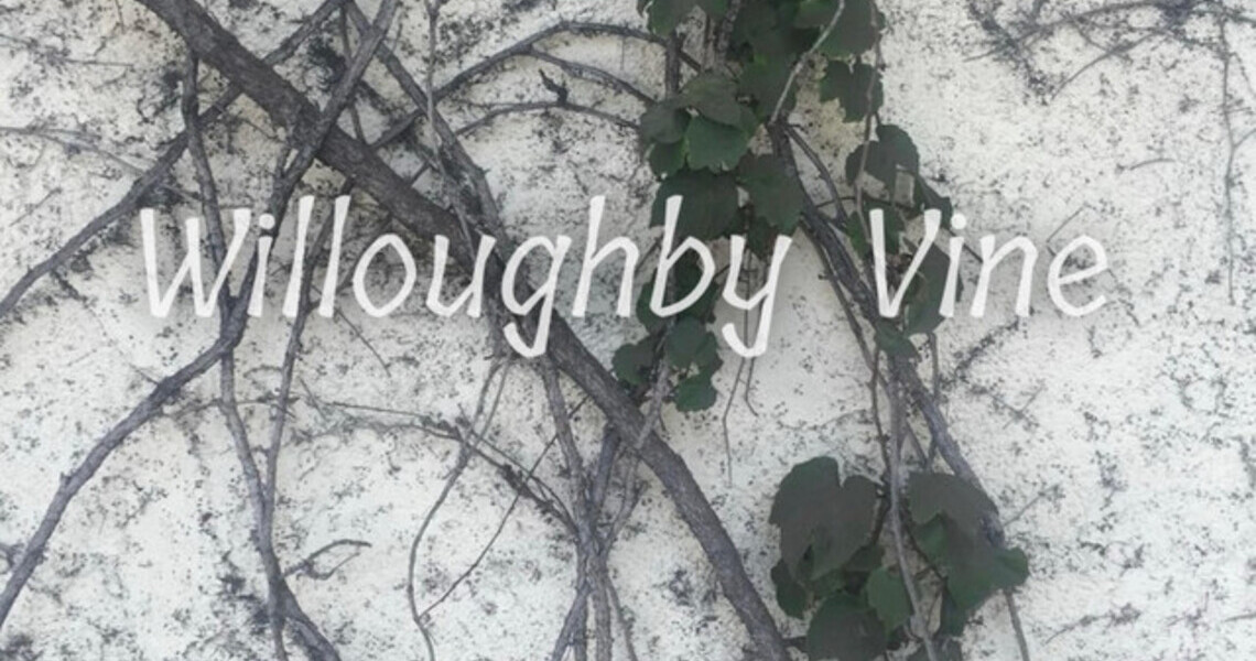 New Music: Willoughby Vine – Honey New Music: Willoughby Vine – Honey